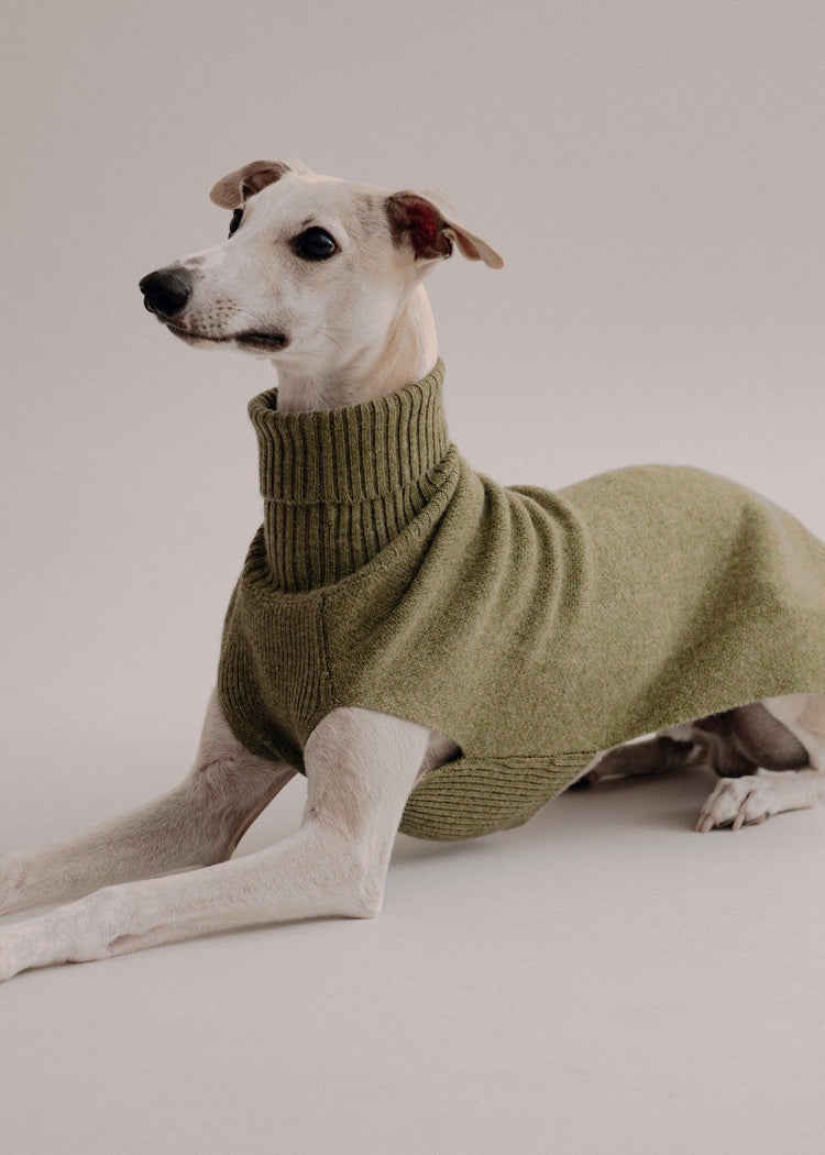 Cashmere Dog Pullover - Olive - Pintu