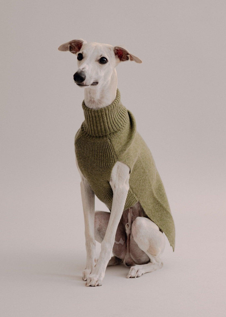Cashmere Dog Pullover - Olive - Pintu