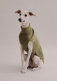Cashmere Dog Pullover - Olive - Pintu