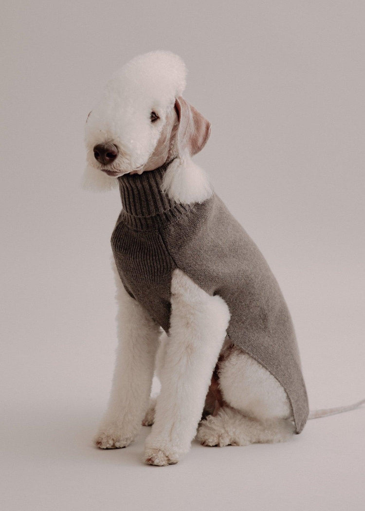 Cashmere Dog Pullover - Taupe - Pintu