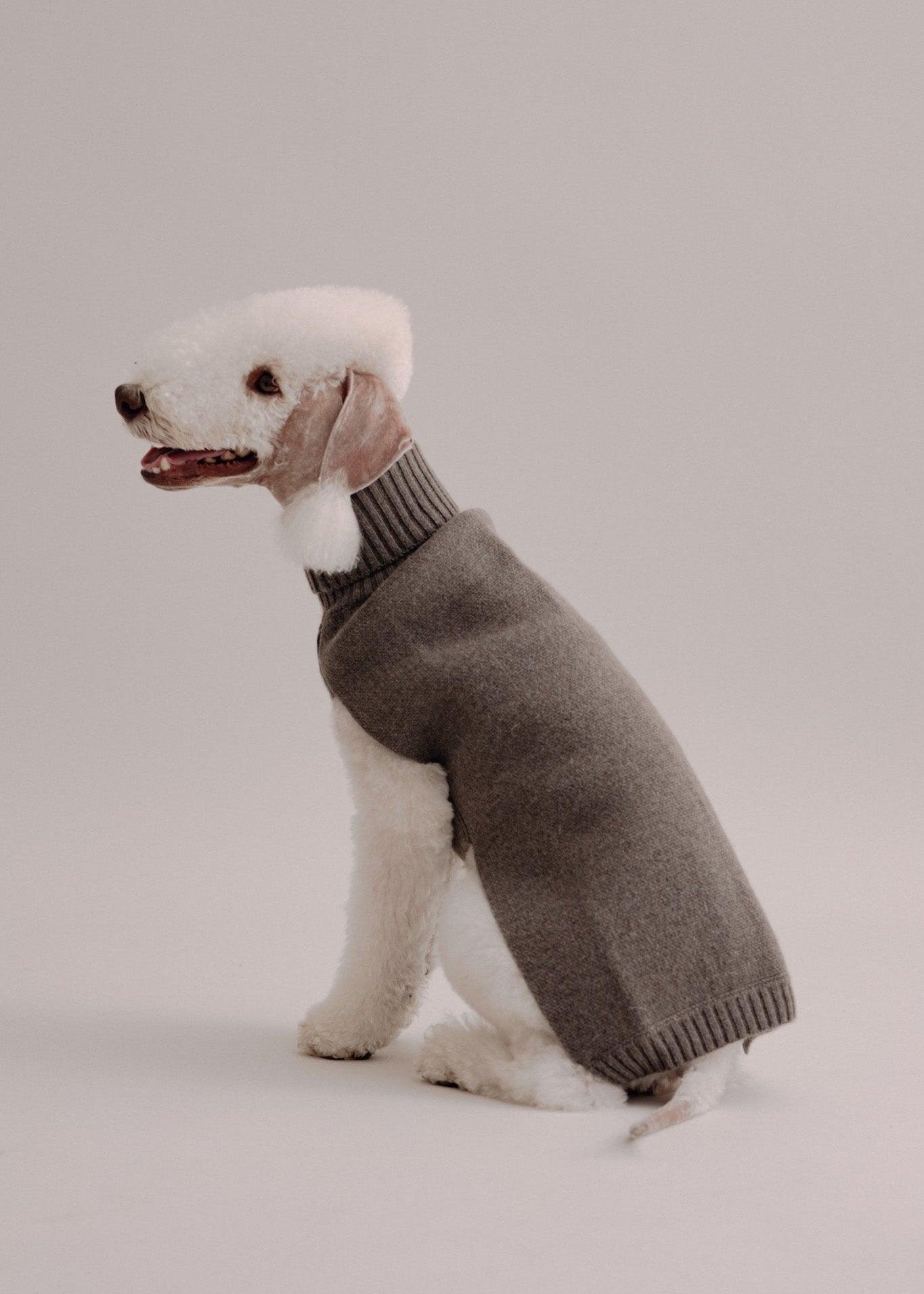 Cashmere Dog Pullover - Taupe - Pintu