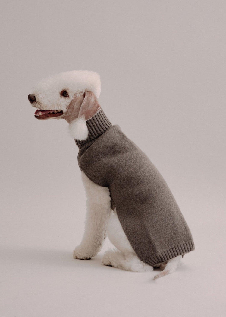 Cashmere Dog Pullover - Taupe - Pintu