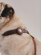 Pintu Air Tag Holder - Chocolate
