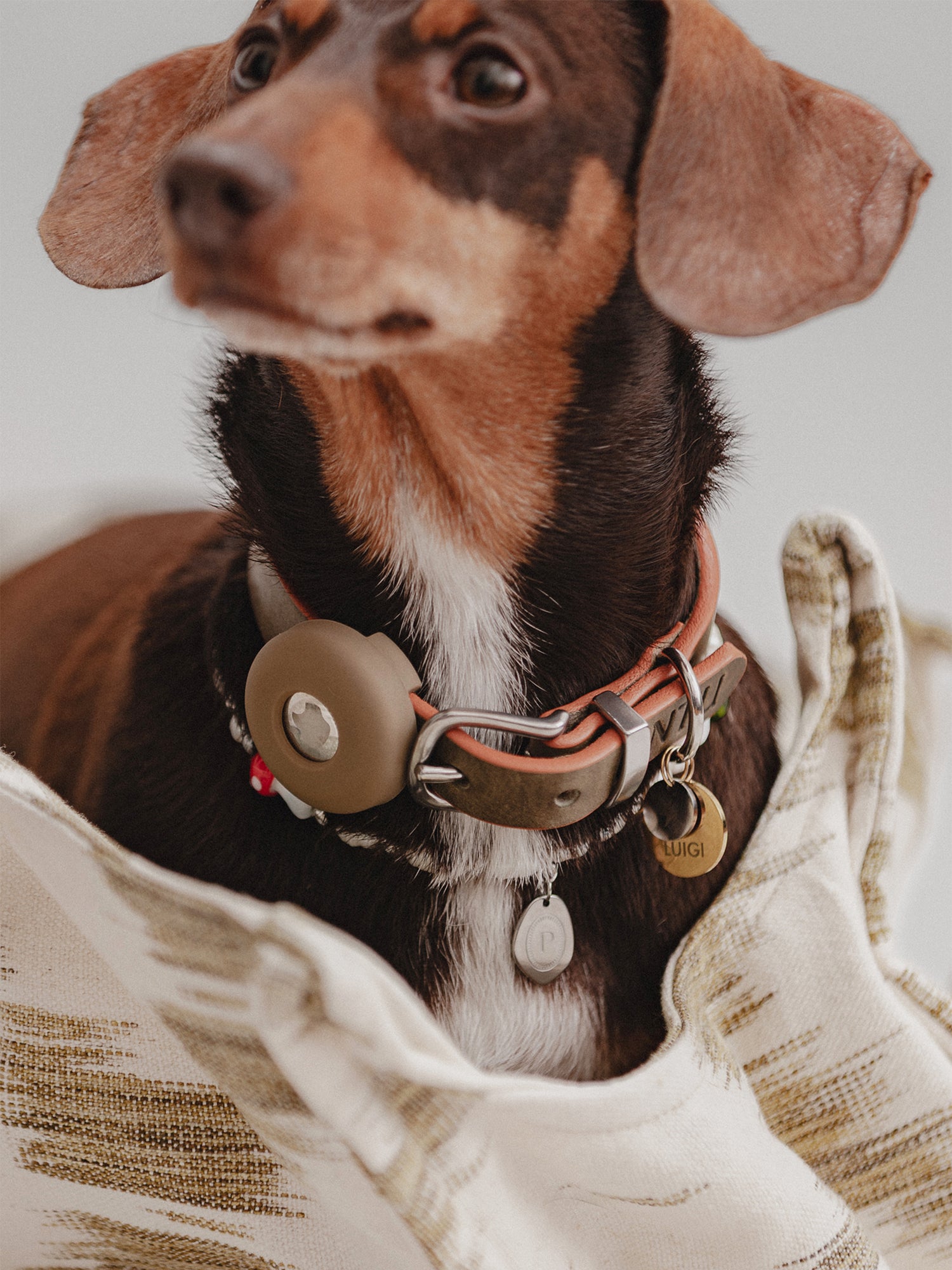 Pintu Air Tag Holder - Olive