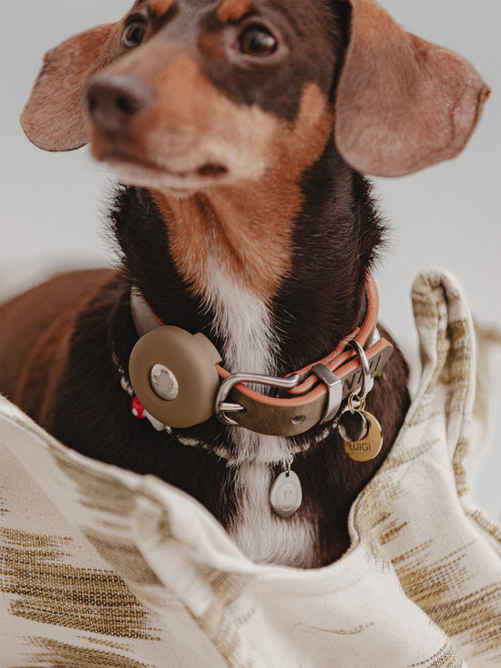 Pintu Air Tag Holder - Olive