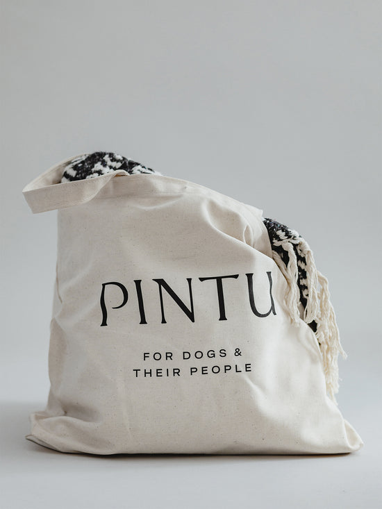 Pintu Bag