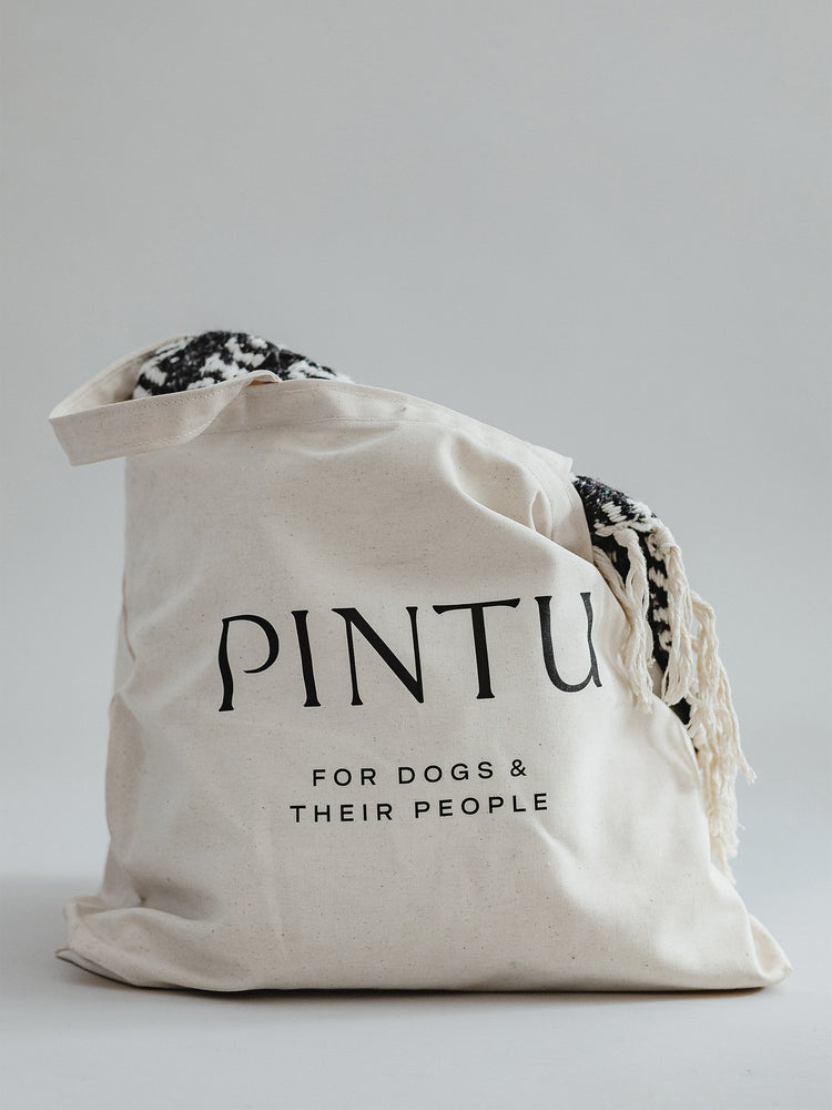 Pintu Bag