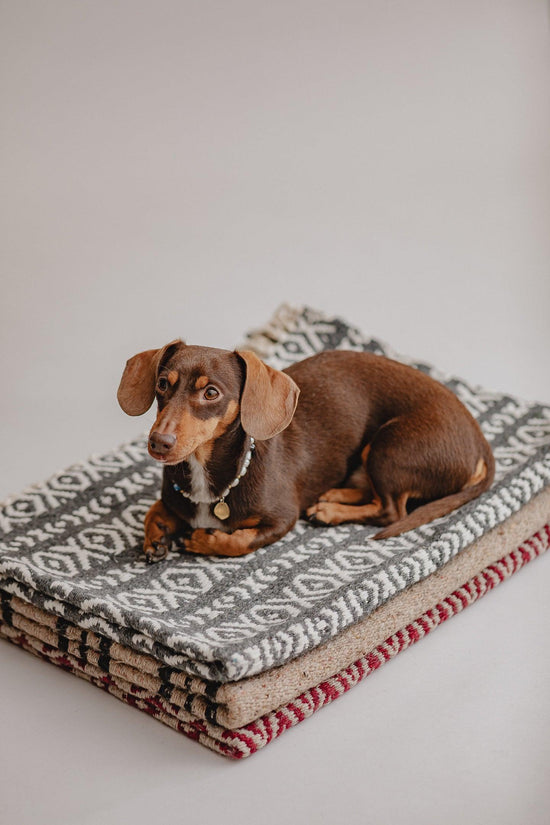 Aire Del Sur Blanket - Pintu