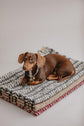 Aire Del Sur Blanket - Pintu