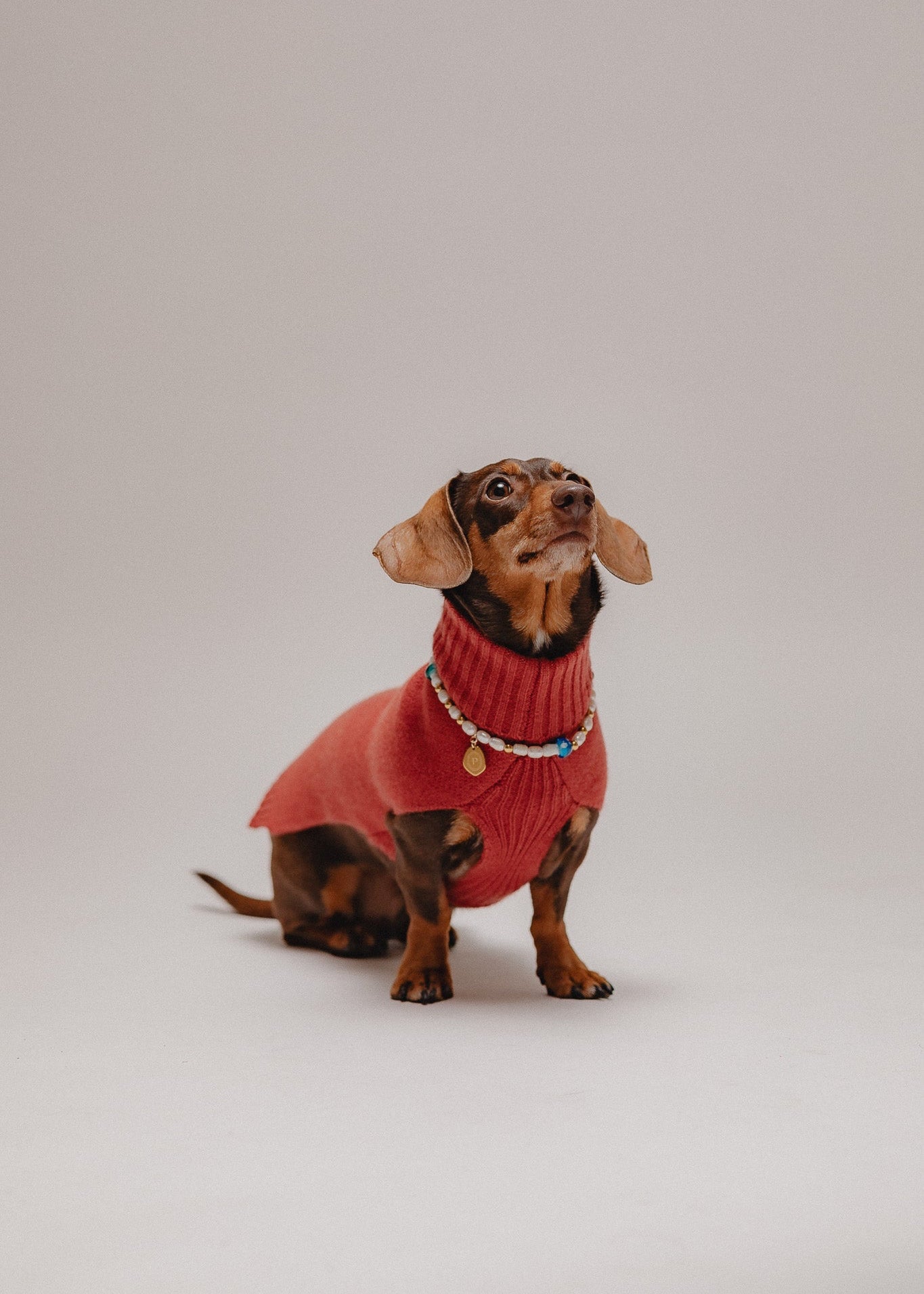 Pintu Cashmere Dog Pullover - Cinnamon