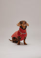 Pintu Cashmere Dog Pullover - Cinnamon