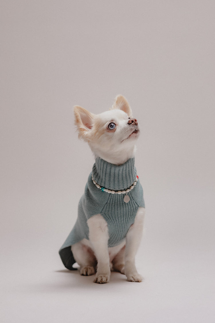 Pintu Cashmere Dog Pullover - Stone Blue
