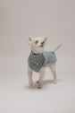 Cashmere Dog Pullover