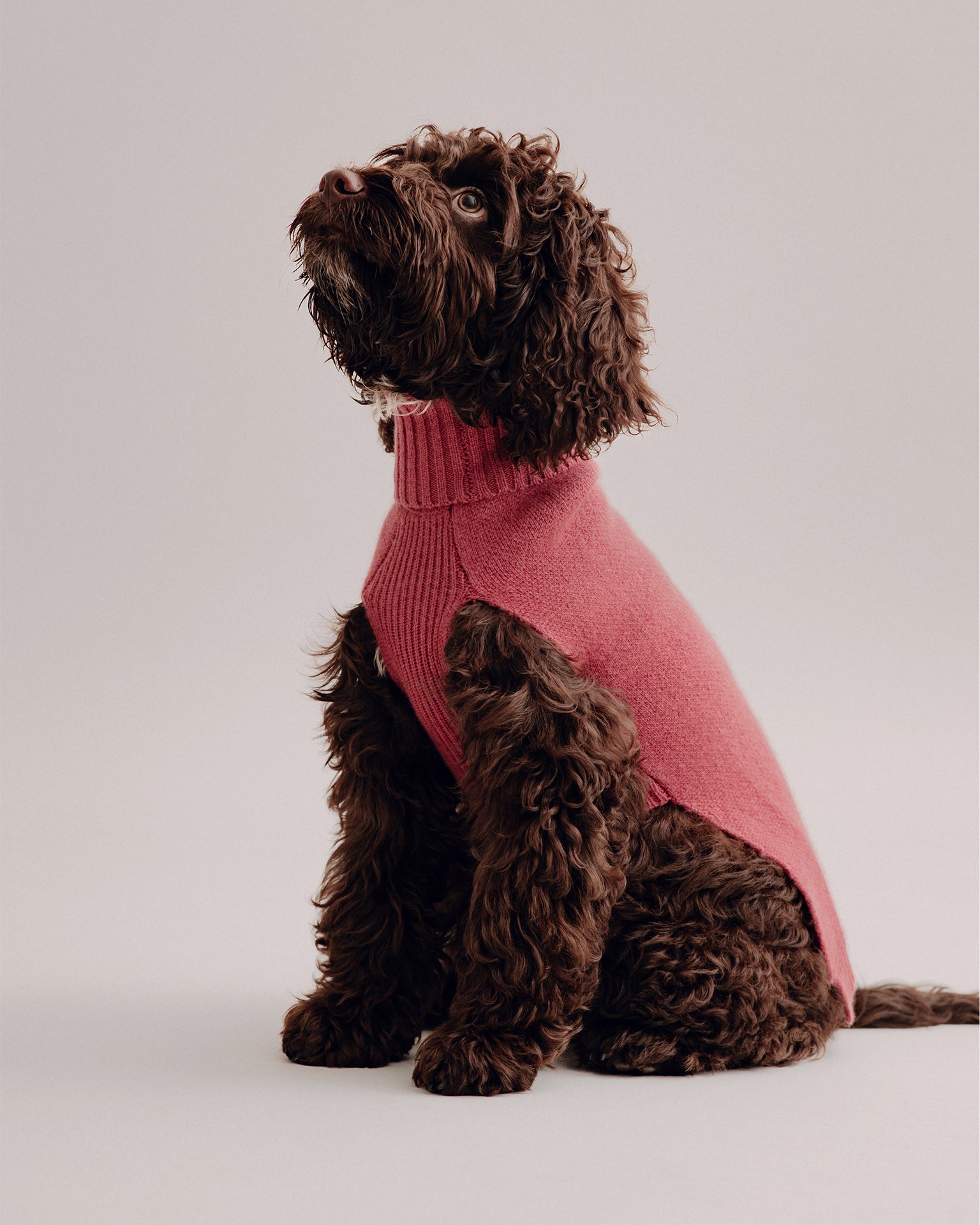 Pintu Cashmere Pullover - Cherry