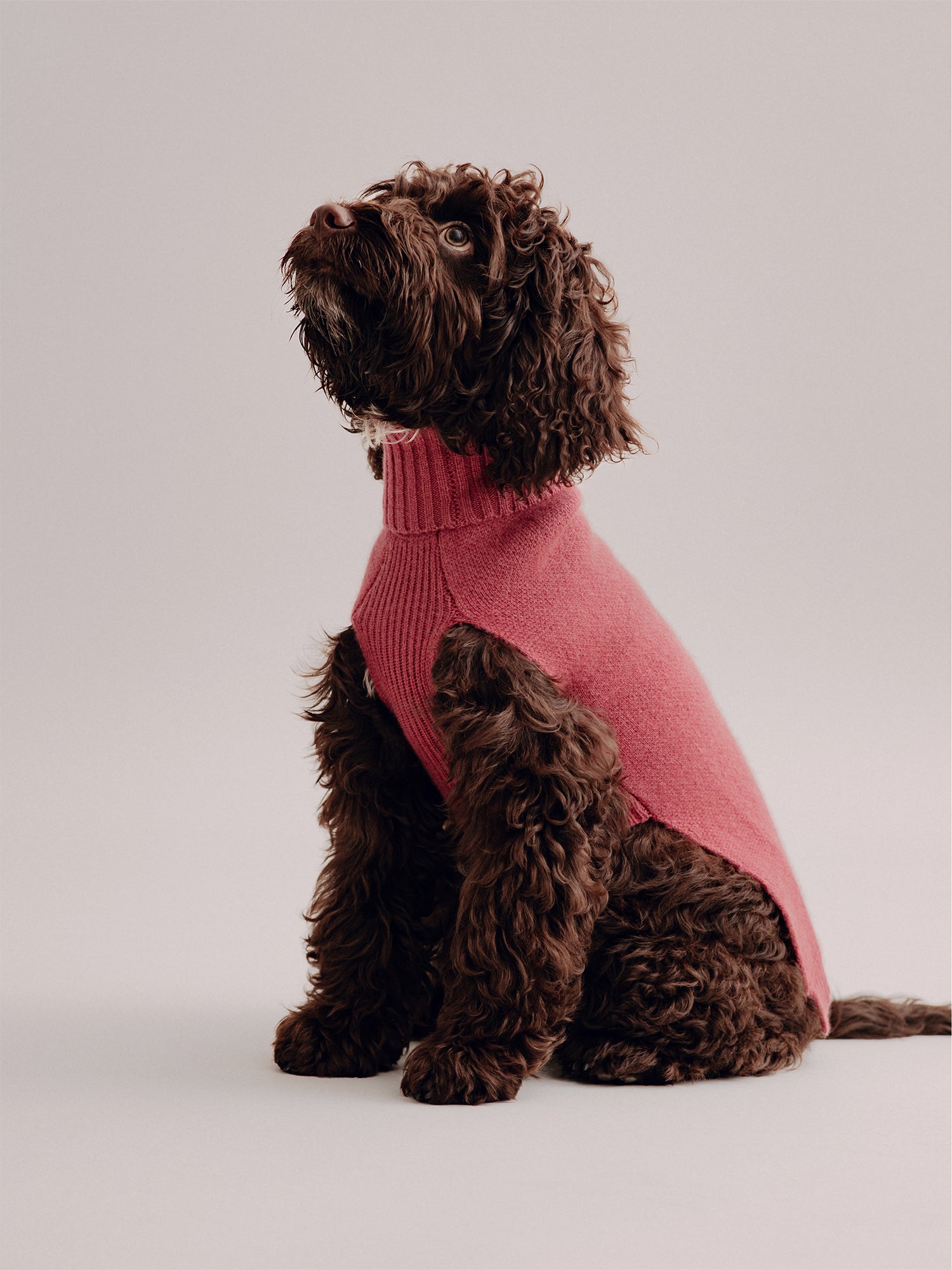 Pintu Cashmere Pullover - Cherry