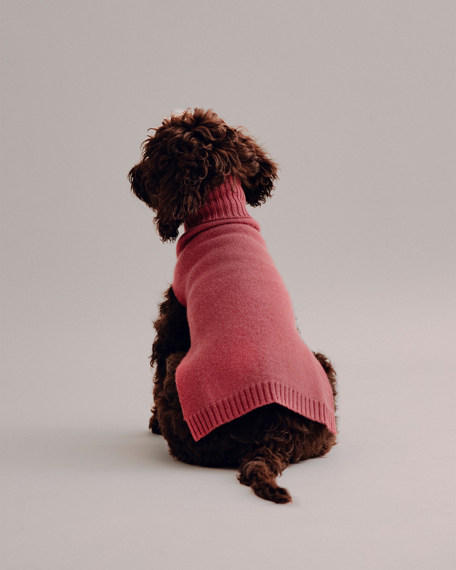 Pintu Cashmere Pullover - Cherry