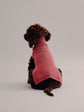 Pintu Cashmere Pullover - Cherry