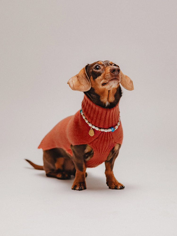 Pintu Cashmere Pullover - Cinamon