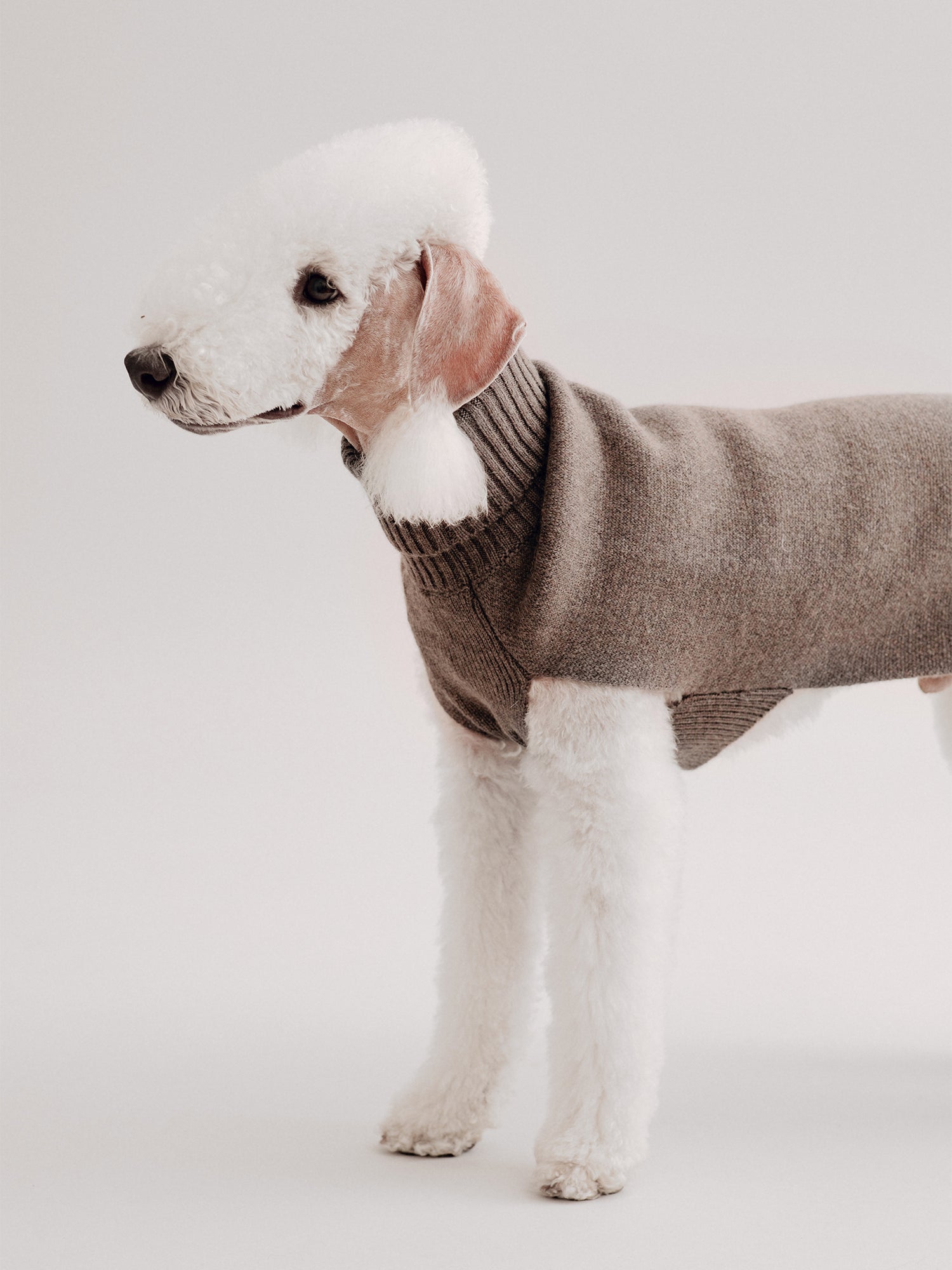 Pintu Cashmere Pullover - Taupe