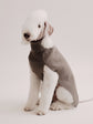 Pintu Cashmere Pullover - Taupe