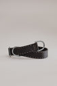 Dog Collar Bosque - Black/Taupe - Stainless Steel - Pintu