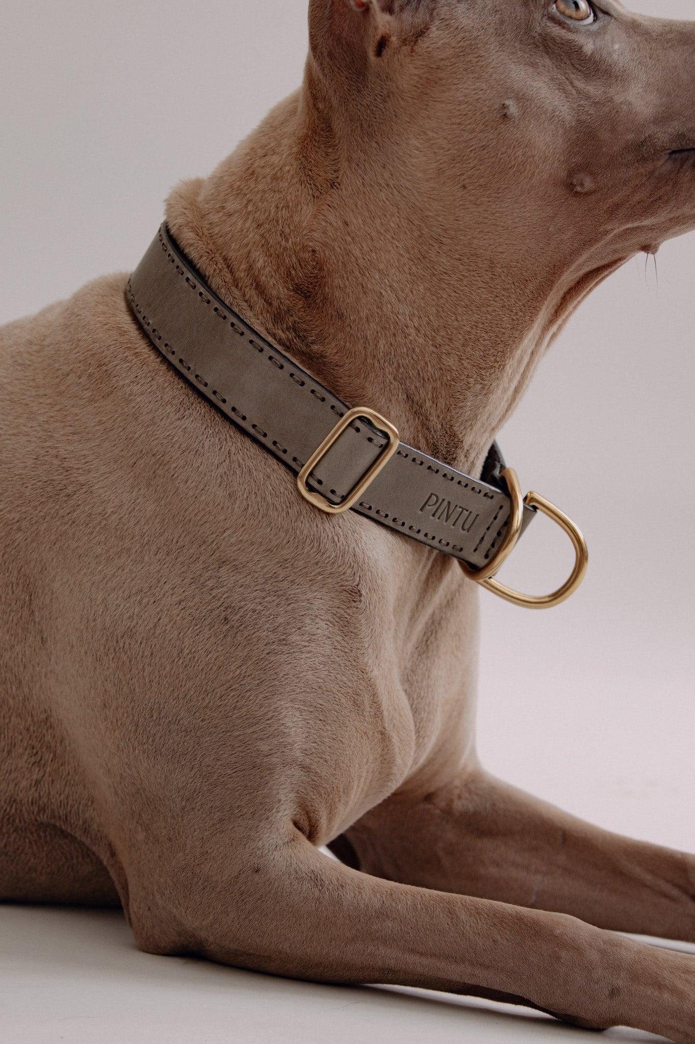 Dog Collar Bosque - Grey - Brass - Pintu