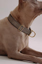 Dog Collar Bosque - Grey - Brass - Pintu