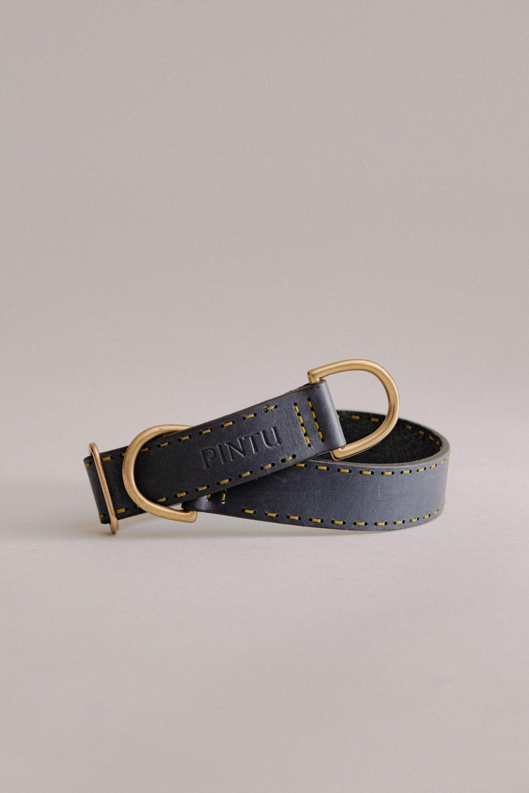 Dog Collar Bosque - Navy/Green - Brass - Pintu