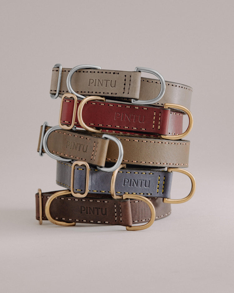 Dog Collar Bosque - Pintu