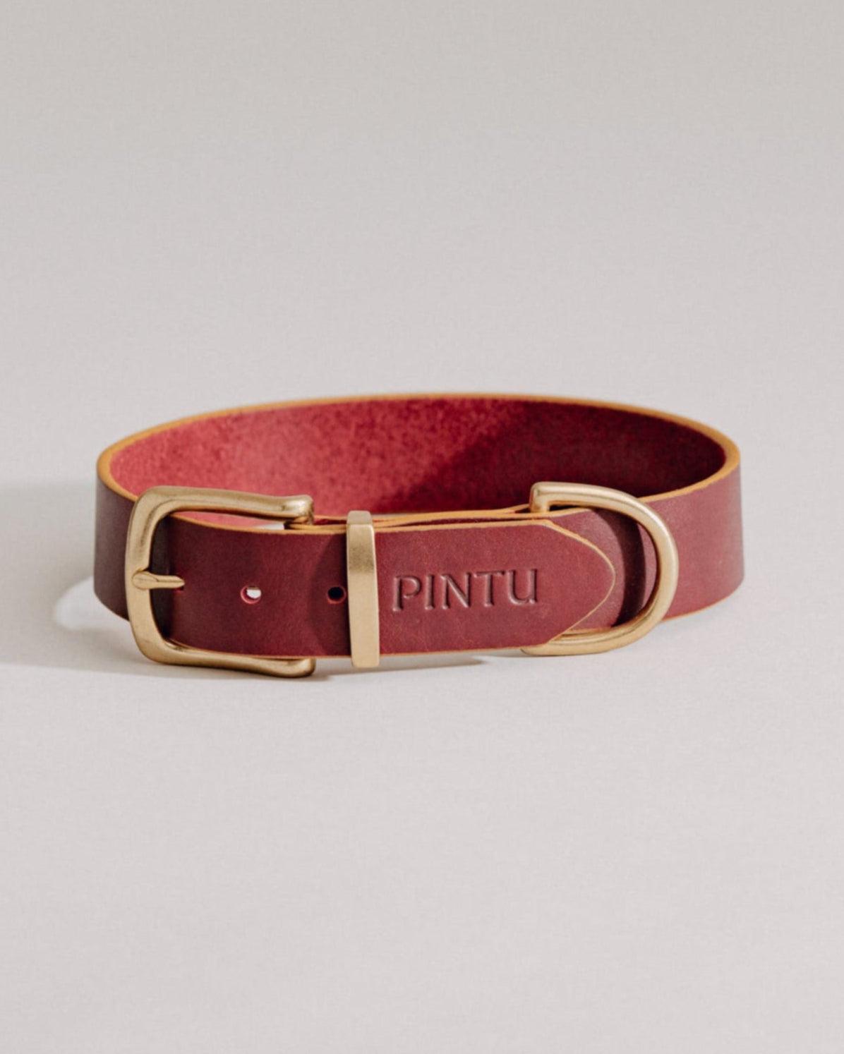 Dog Collar Monte - Cherry/Gold - Brass - Pintu