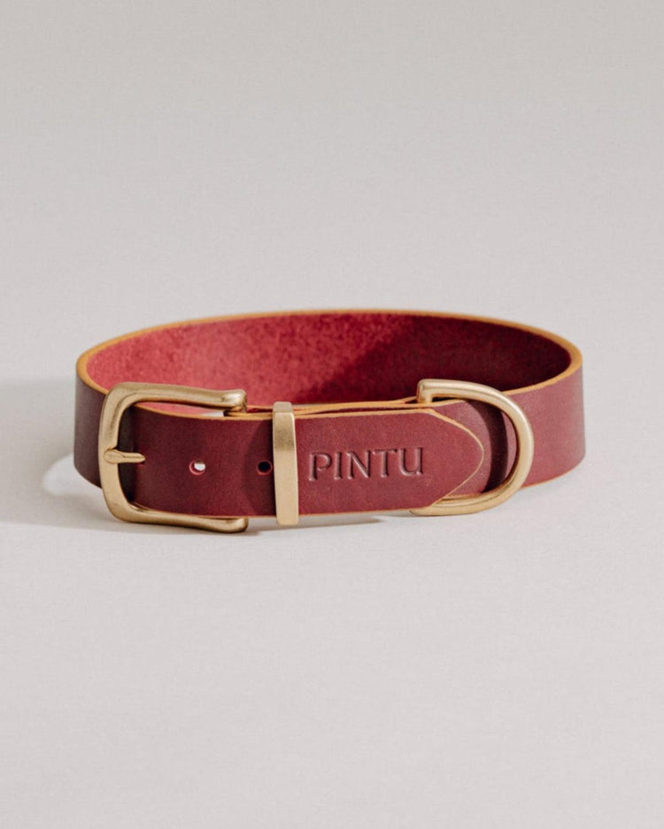 Dog Collar Monte - Cherry/Gold - Brass - Pintu