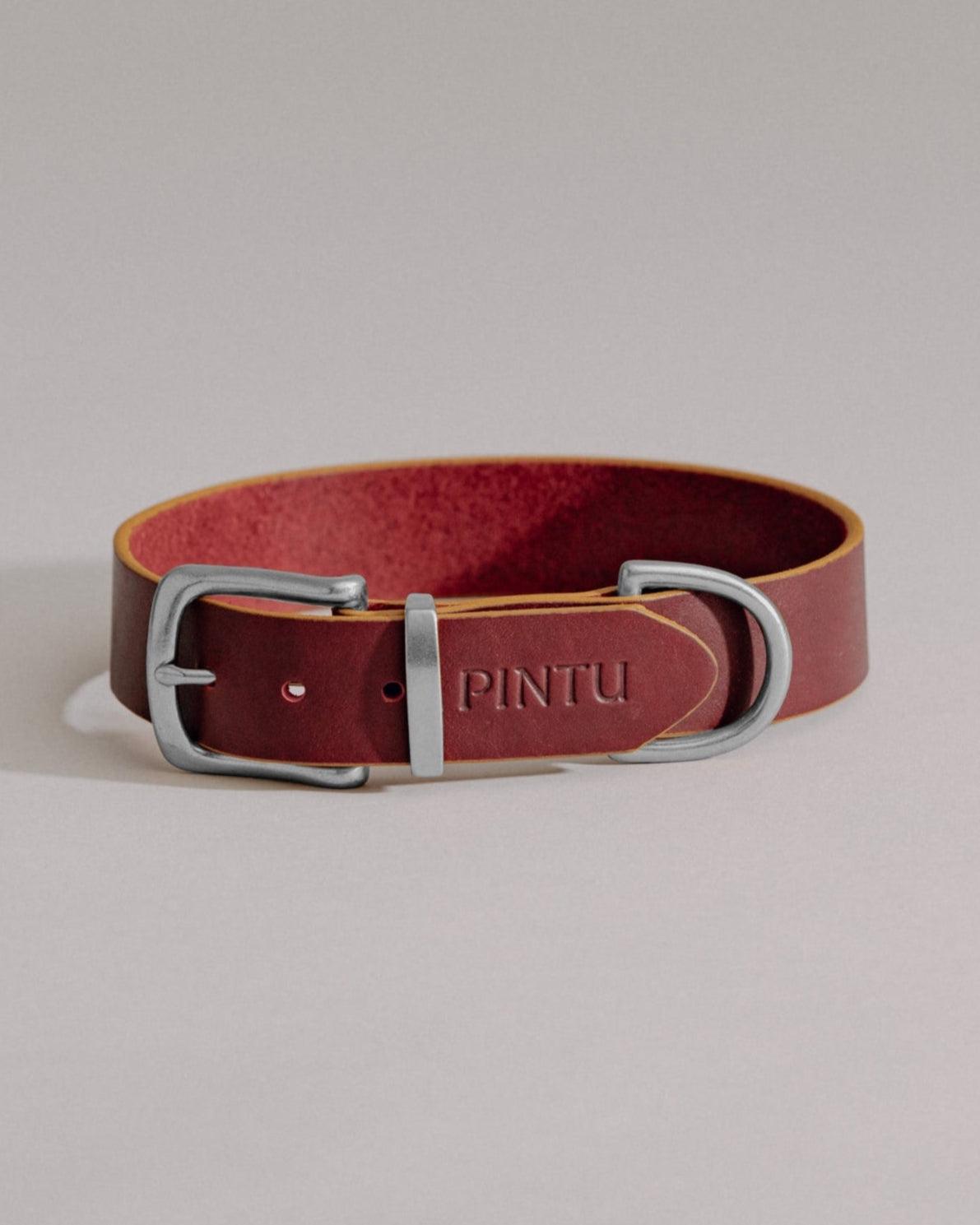 Dog Collar Monte - Cherry/Gold - Stainless Steel - Pintu