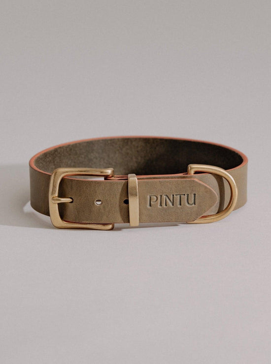 Dog Collar Monte - Olive/Dusty Orange - Brass - Pintu