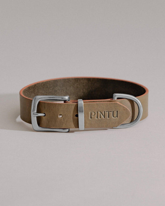 Dog Collar Monte - Olive/Dusty Orange - Stainless Steel - Pintu