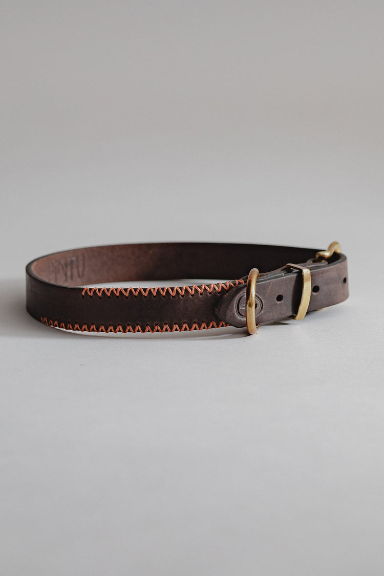 Dog Collar Porthos - Chocolate/Orange - Archive - Pintu