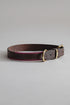 DogCollar Porthos - Chocolate/Pink - Archive - Pintu