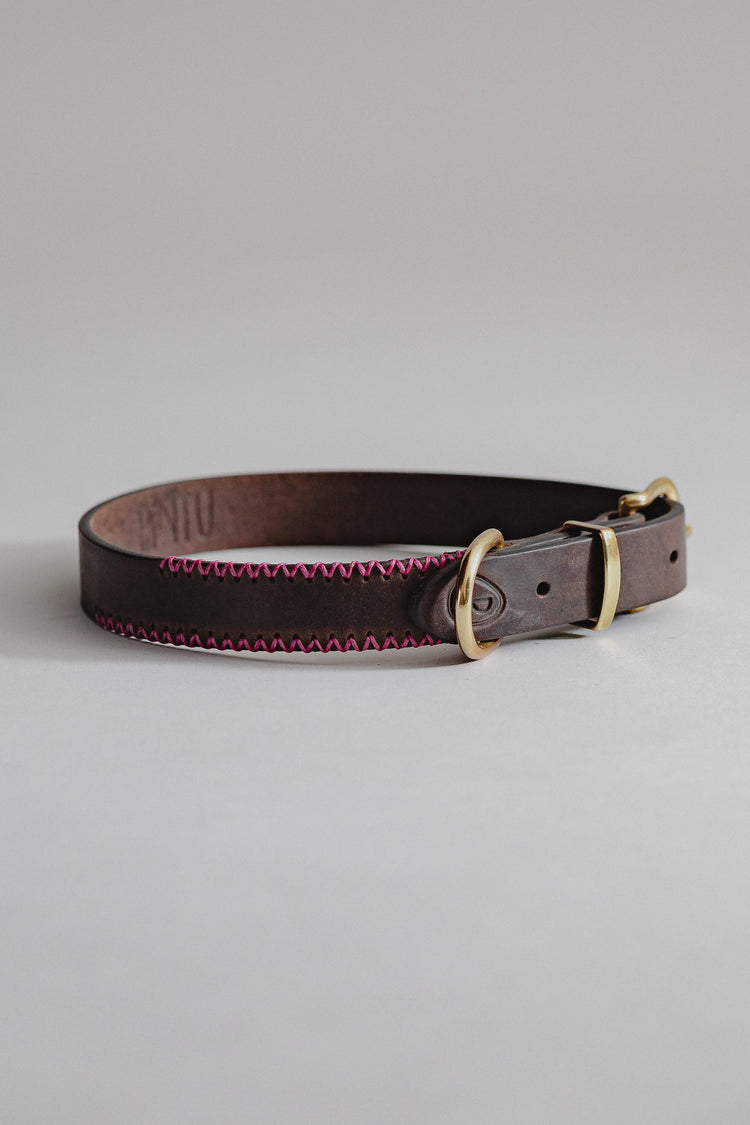 DogCollar Porthos - Chocolate/Pink - Archive - Pintu