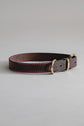 DogCollar Porthos - Chocolate/Pink - Archive - Pintu