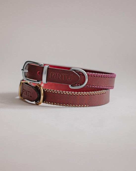 Dog Collar Porthos - Cherry - Pintu