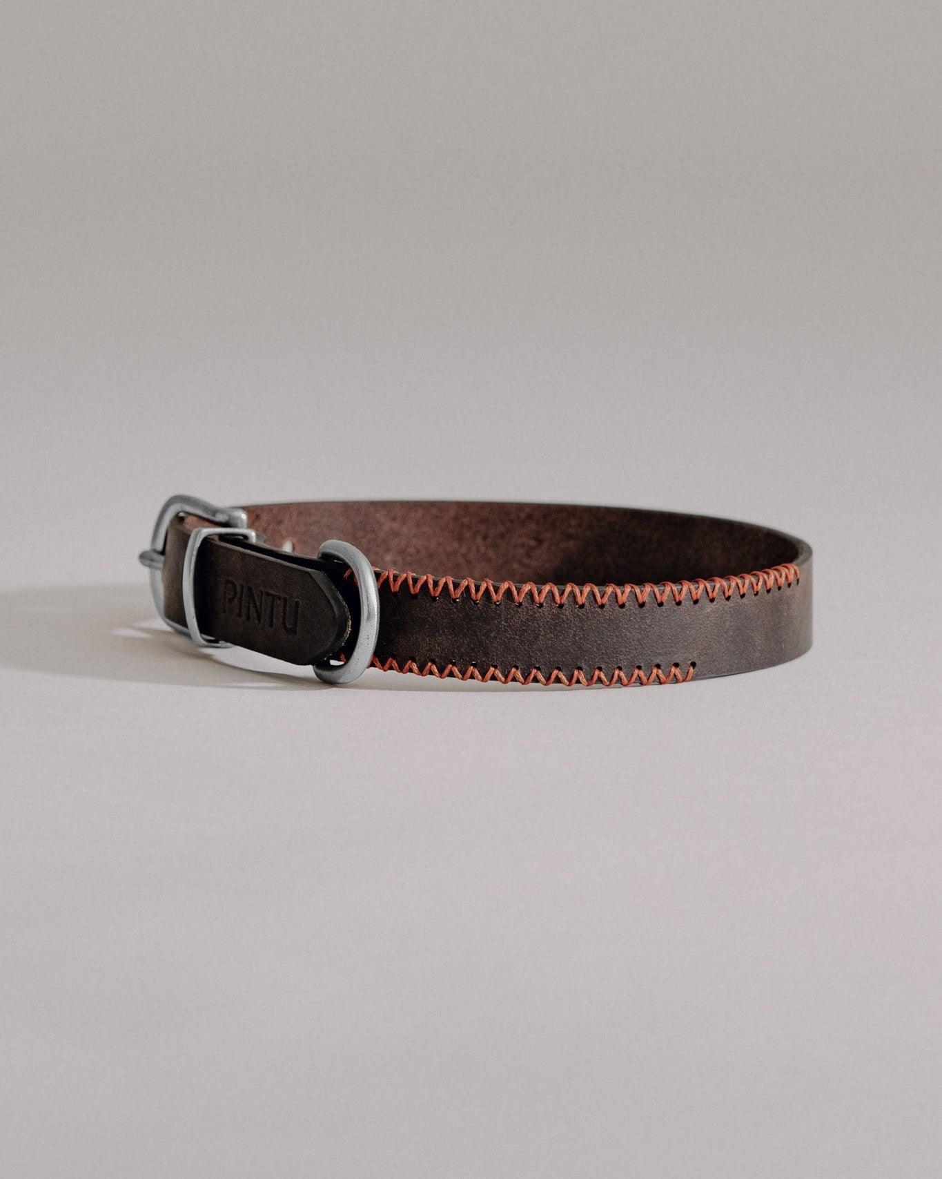 Dog Collar Porthos - Chocolate/Orange - Pintu