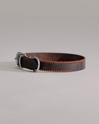 Dog Collar Porthos - Chocolate/Orange - Pintu