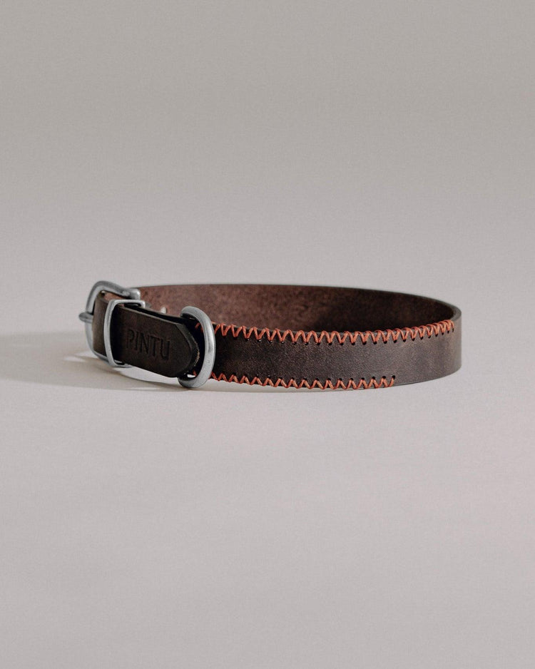 Dog Collar Porthos - Chocolate/Orange - Pintu