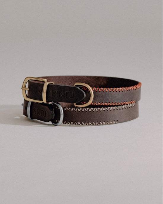 Dog Collar Porthos - Chocolate - Pintu