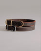 Dog Collar Porthos - Chocolate - Pintu