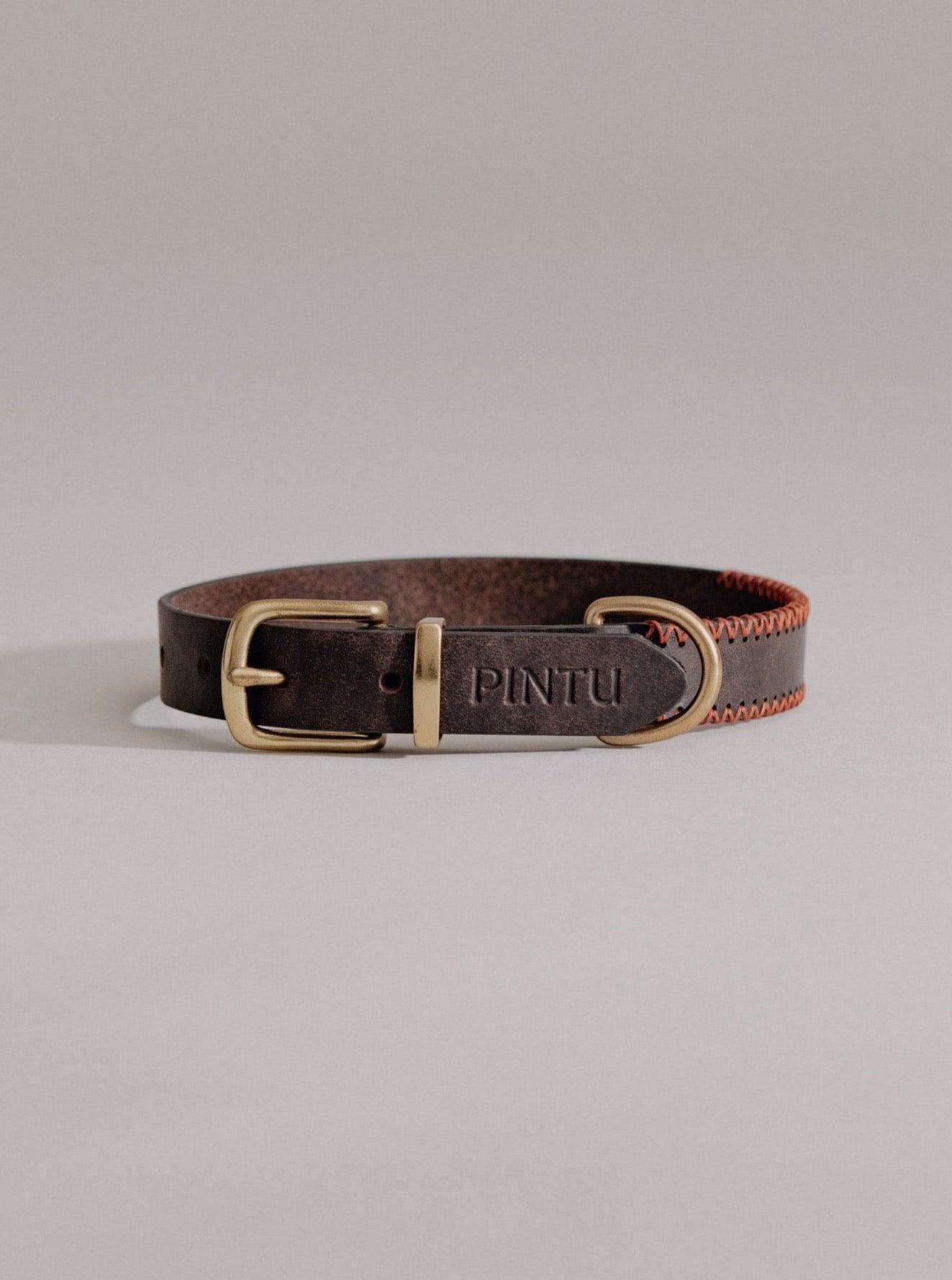 Dog Collar Porthos - Chocolate/Orange - Pintu