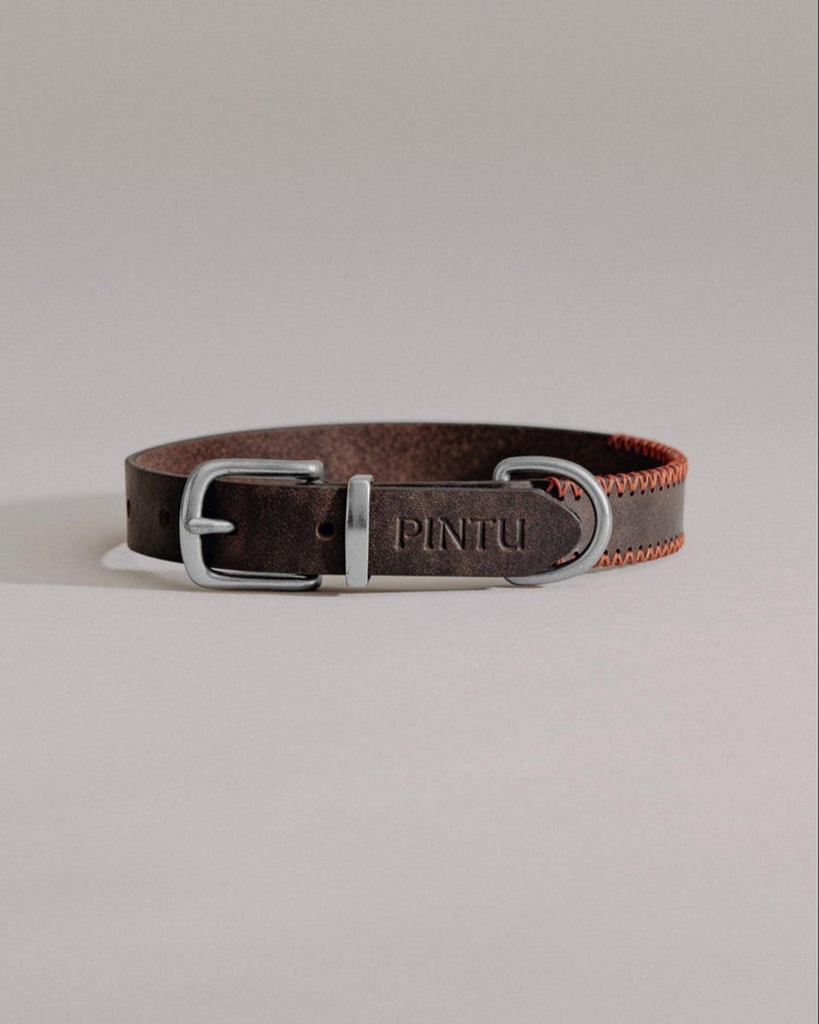 Dog Collar Porthos - Chocolate/Orange - Pintu