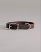 Dog Collar Porthos - Chocolate/Orange - Pintu