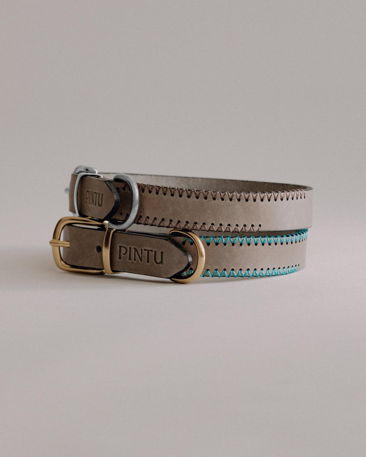 Dog Collar Porthos - Grey - Pintu