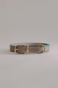 Dog Collar Porthos - Grey/Turquoise - Pintu