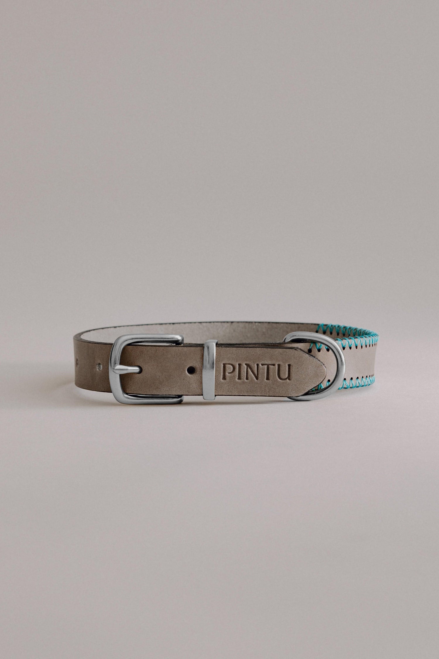 Dog Collar Porthos - Grey/Turquoise - Pintu
